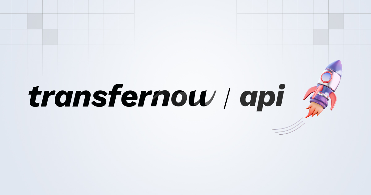 Api sdk upload large files securely transfernow